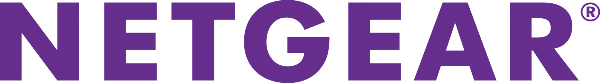 NETGEAR business networking logo